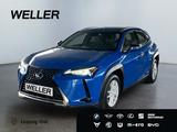 Lexus UX 250h Launch Edition *Bi-LED*ACC*CAM*SHZ*Navi* - gebrauchte Lexus SUV & Geländewagen