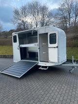 Andere Steinsberger, 2 Pferde, Hengst, Sattelkammer - Tier-/Pferdetransport Steinsberger
