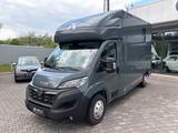 Opel Movano MSG Pferdetransporter Hengstausstattung - Opel Abschleppwagen