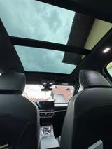 Cupra Formentor 2.0 TDI 110kW 4Drive DSG - - Cupra mit Diesel-Antrieb: Schiebedach