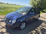Volkswagen Polo 9N 75 Ps 114.000 Km - Volkswagen Polo aus 2002: 9n