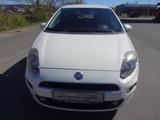 Fiat Punto Sport - Fiat Punto: Sport