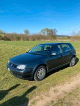Volkswagen VW Golf IV 1.4 16V | Erst 49.500 km | TÜV ... - Volkswagen Golf: Iv 16