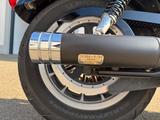 Harley-Davidson Sportster 883 R - Angebote