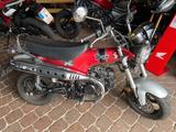 Honda DAX ST125 - HONDA DAX