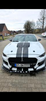 Ford Mustang 2.3, 317ps, Shelby Cobra GT500  - Ford Mustang Gebrauchtwagen in Bielefeld