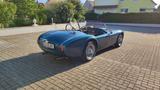 Cobra 289 V8, H Kennzeichen, Winterpreis - Cobra Gebrauchtwagen