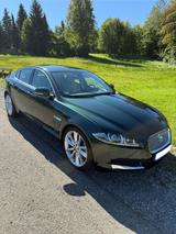 Jaguar XF 5.0 L V8 - NEUWERTIG 1.Hand