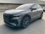 Audi Q4 e-tron 45 e-tron quattro s-line AHK Matrix - Audi Q4 e-tron von privat