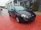Fiat Punto Evo 1.3 Multijet - Fiat Punto Gebrauchtwagen