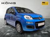 Fiat Panda MY25 1.0 Klima PDC Citypaket - Fiat Panda in Leipzig