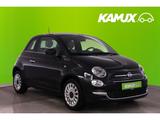 Fiat 500 1.0Mild-Hybrid Dolcevita+TEMPO+CARPLAY+PANO - Fiat 500 aus 2023