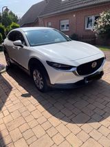 Mazda CX-30 e-SKYACTIV-G M-Hybrid 150 Homura Nav,HUD - Mazda CX-30 aus 2023