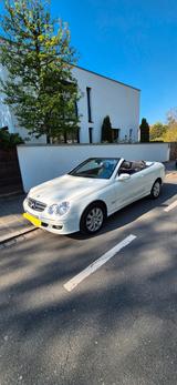 Mercedes-Benz CLK 280 CABRIO ELEGANCE TRAUMZUSTAND *FESTPREIS* - gebrauchte Mercedes-Benz CLK 280 aus dem Jahr 2008
