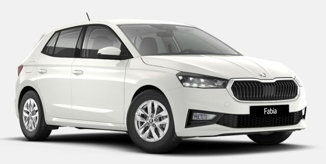 Skoda Fabia 1.0 TSI Klima Rückfahrkamera PDC 5J Gar