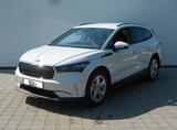 Skoda iV 50 Tour NAVI Side Assist ACC KAMERA LM19"AHK