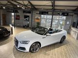 Audi A5 quattro Cabriolet 2.0 TFSI 2x S-line S-tronic - Audi A5: Weiß