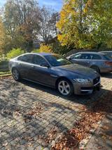 Jaguar XF 30d 300PS R-Sport Automatik R-Sport - Jaguar XF 300-Sport