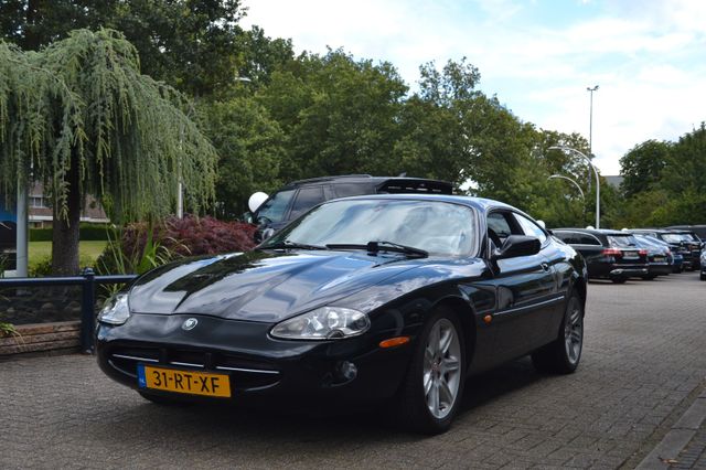 Jaguar XK8 Coupe