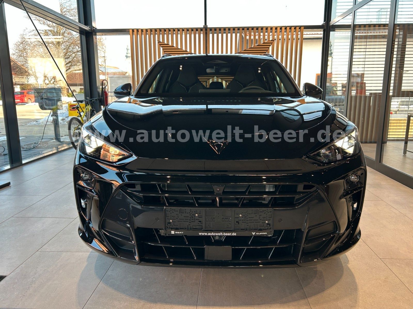 Cupra Terramar - Bild 4