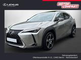 Lexus UX 250h FWD LUXURY  *GHSD* - Lexus UX aus 2020