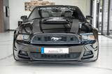 Ford Mustang 3,7 PREMIUM LPG BRC LEDER KAMERA  ROUSH - Ford: Roush