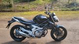 Suzuki Gladius SFV650 - Offers matching your search criteria