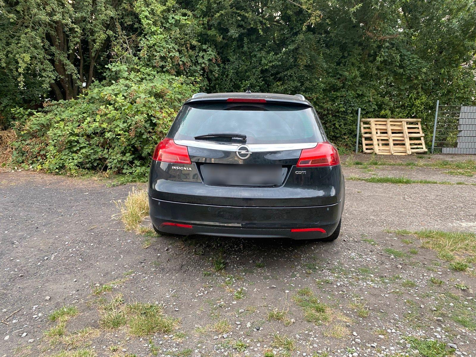 Opel Insignia 2010 — photo 5