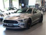 Ford Mustang GT 5.0 Ti-VCT V8 50 Year Limited Edition - Ford Mustang in Hamm