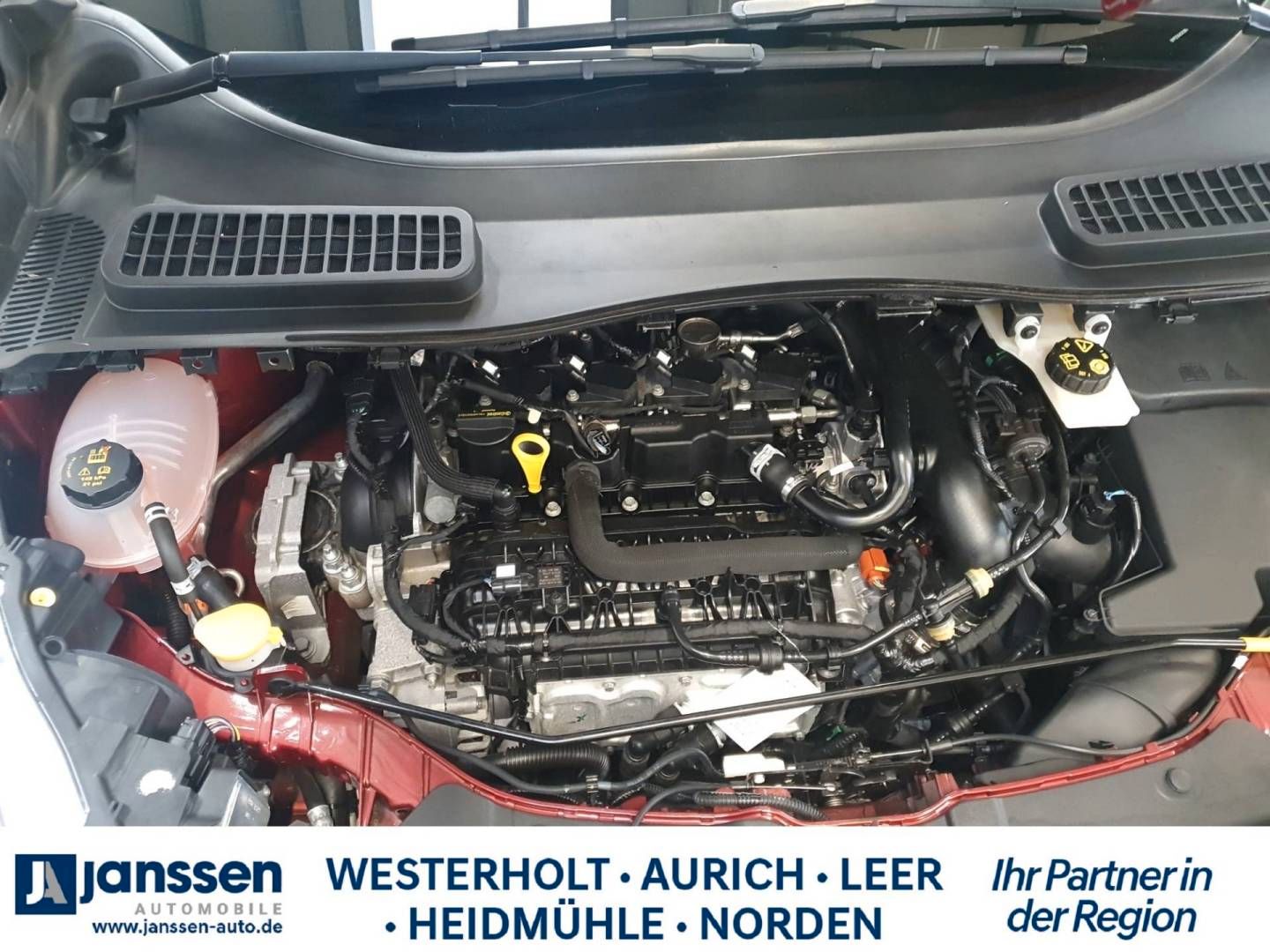 Fahrzeugabbildung Ford Kuga 1.5 EcoBoost 2x4 ST-Line