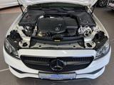 Mercedes-Benz E 220d Cabrio Avantgarde Wide+AMB+BURMESTER - Mercedes-Benz: Cabrio, W