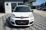 Fiat Panda More*FCA ITALY*1.2*PDC*8 Fach*Iso Fix* - gebrauchte Fiat Panda aus dem Jahr 2018