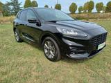 Ford Kuga 1.5 EcoBoost 150 CV ST-Line Km 55.000 - Ford Kuga: Km 0
