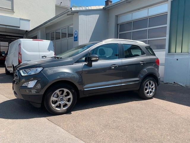 Ford EcoSport Titanium, Leder