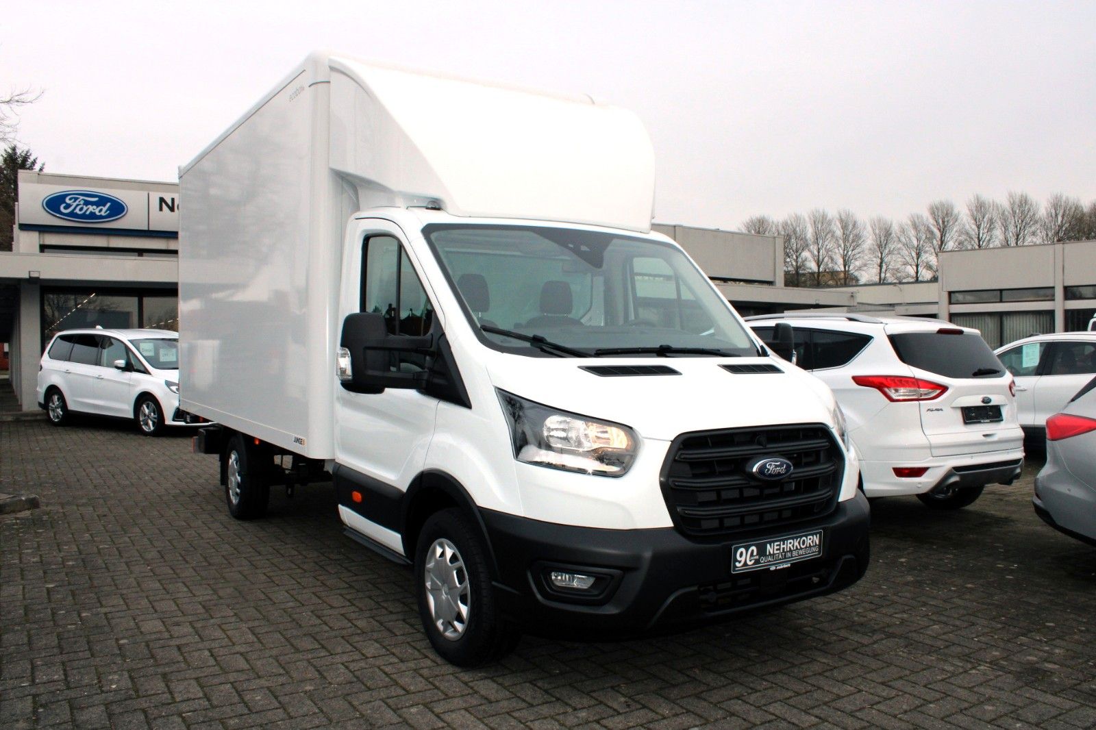 Fahrzeugabbildung Ford Transit JUNGE KOFFER + Laderampe L4 350 Trend