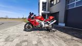 Aprilia SL1000 Falco - APRILIA SL 1000 FALCO