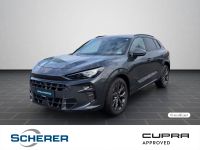 Cupra Terramar - Vorschau Bild 1