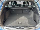 Ford Focus Turnier 1.0 EcoBoost Hybrid Aut. ST-LINE - Ford Focus: Blau, ST