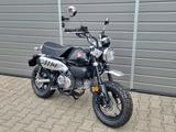 Honda Monkey 2025 (Z 125 MAS) ALS TZ 05.26!!! - HONDA MONKEY 125
