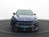Cupra Terramar 1.5 eTSI DSG - Cupra Terramar Jahreswagen