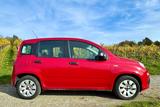 Fiat Panda 1.2 8V Pop - Fiat Panda: Schwarz