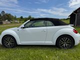 Volkswagen Beetle Cabriolet SOUND 1,4 l TSI 150 PS 6- Gang - Volkswagen Beetle aus 2018