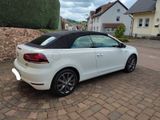 Volkswagen Golf 1.2 TSI Karmann Cabriolet Karmann - Volkswagen Golf mit Benzin-Antrieb: Cabrio, 1.2
