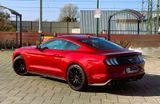Ford Mustang 5.0 V8 GT*MagneRide*B&O*Garantie* - Ford Mustang in Frankfurt (Main)