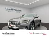 Audi e-tron 55 qu. 300kW advanced LED ACC Kamera Navi - graue Audi e-tron