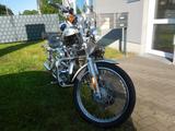 Harley-Davidson XL 1200 Sportster Custom. Jubiläumsmodell 100 J. - HARLEY-DAVIDSON 2003 SPORTSTER 1200