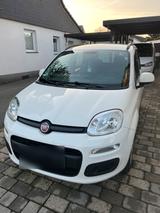Fiat Panda 1,2l Typ 312 - Fiat Panda 312
