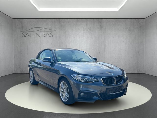 BMW 218 d Cabrio M Sport Navi/Leder/Keyless/1.Hand