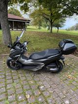 Honda Forza 300 TÜV neu & gepflegt - HONDA FORZA 300