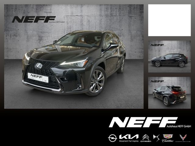 Lexus UX 300 h 300h F Sport Design ACC FLA SpurH LM